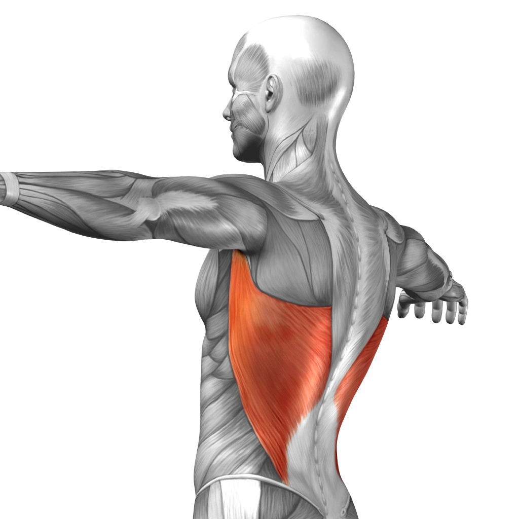 latissimus dorsi muscle flap for Poland’s syndrome