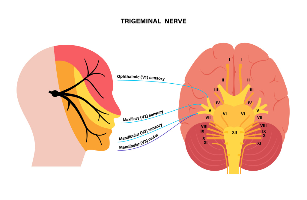 trigeminal nerve block for facial plastic surgery