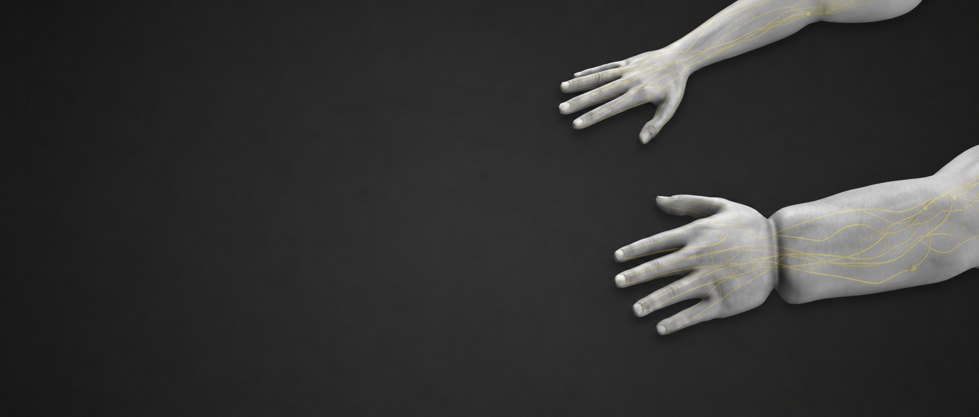 Two human arms extended on a dark background with yellow lines illustrating nerves running through the wrists and hands.